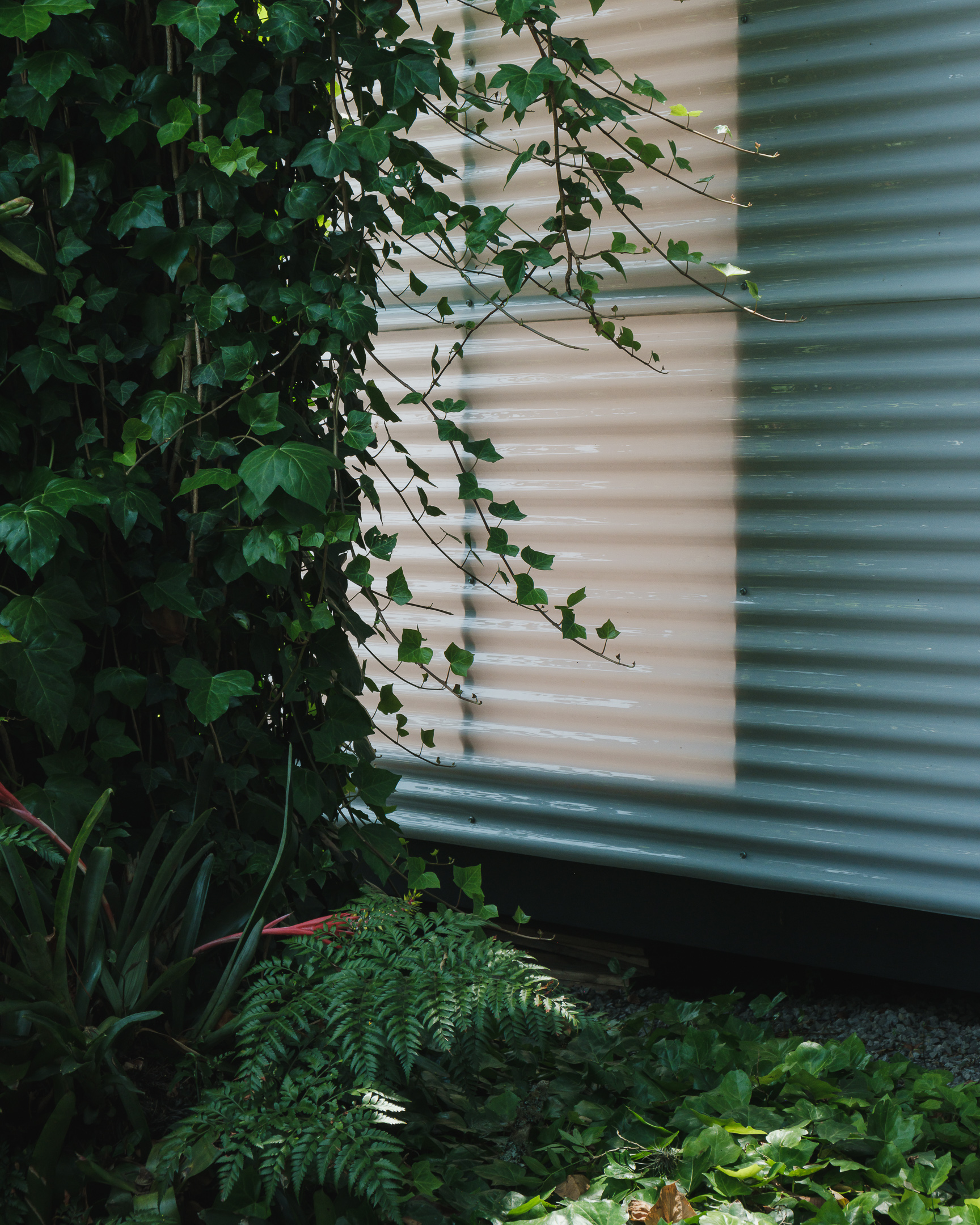 Featured image for “galpão (a small shed in Canela, Brazil)”