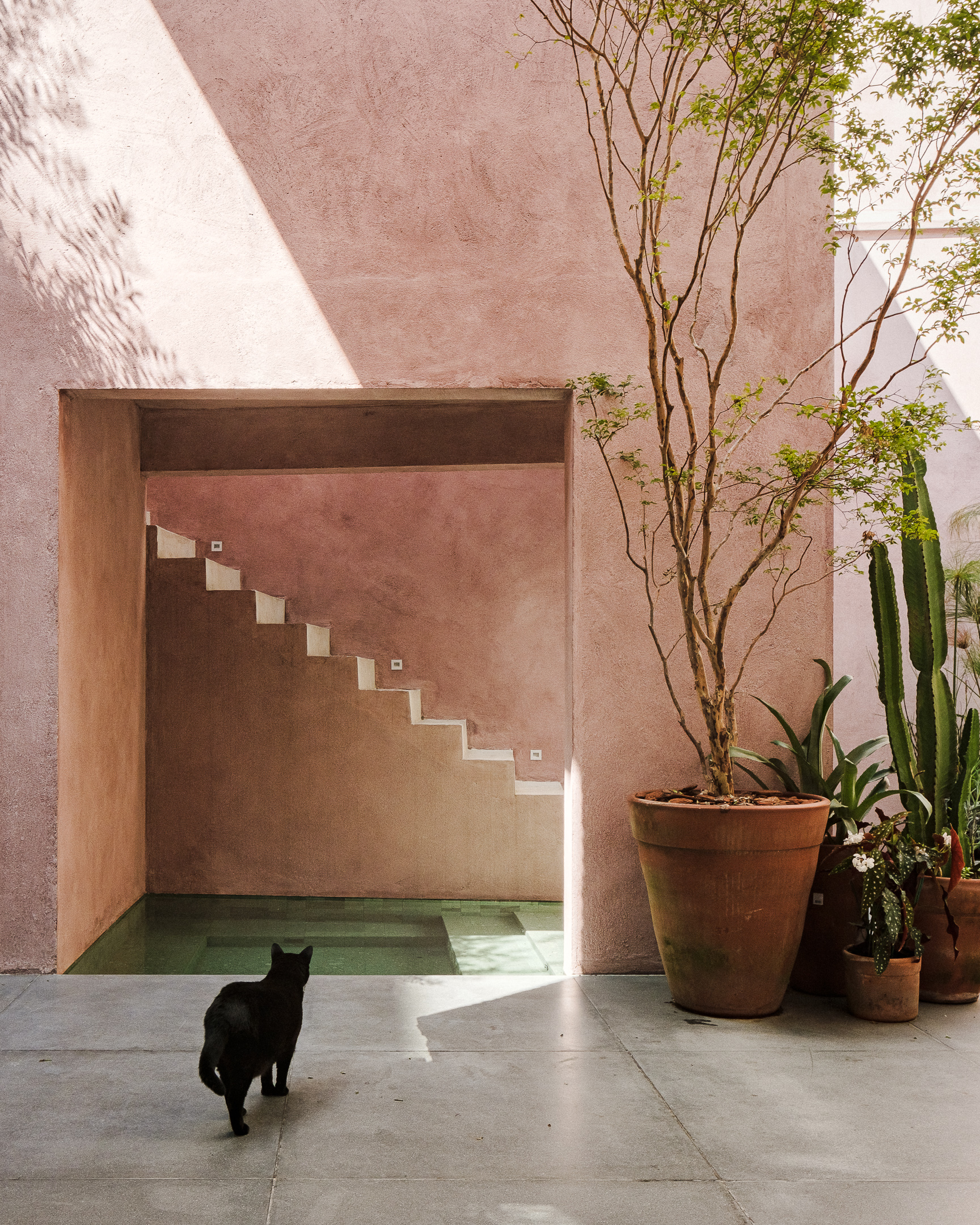 Featured image for “Renovation of a rowhouse in Vila Mariana, São Paulo, Brazil”