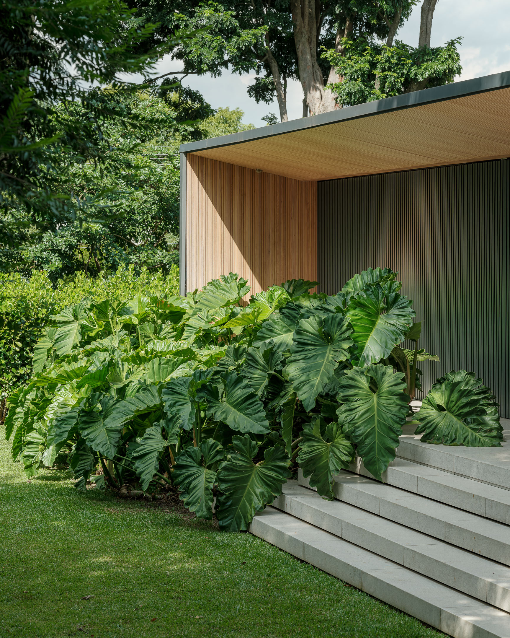 Featured image for “House JCP in São Paulo, Brazil”